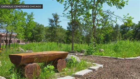 Archdiocese of Chicago to offer natural burial option .
